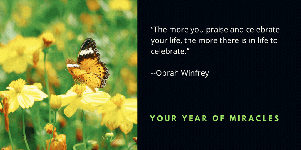 Choose Where You Put Your Energy and Attention